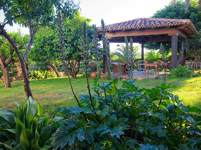 Finca Las Corchuelas Finca Las Corchuelas