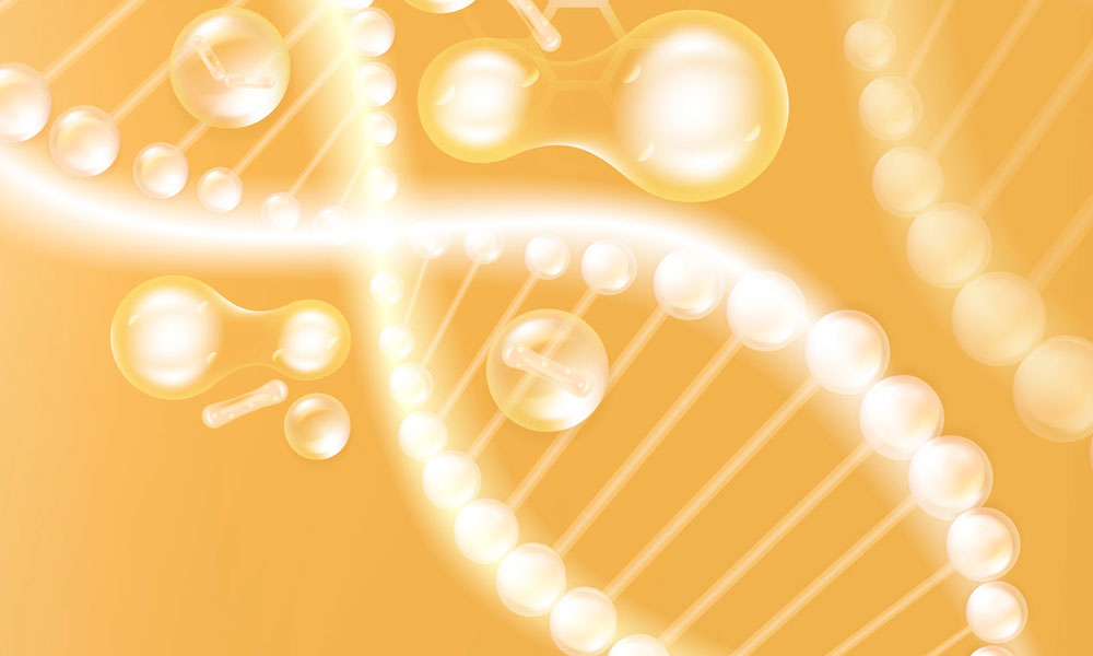 analisis-adn